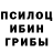 Галлюциногенные грибы Psilocybine cubensis Dimitr Alex