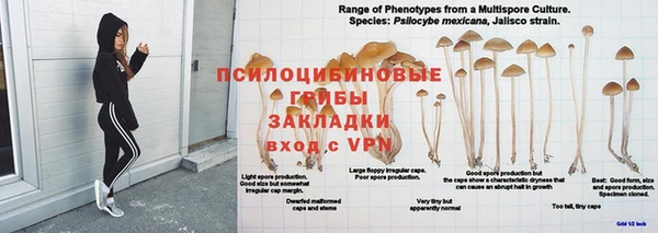 ALPHA-PVP Алексеевка