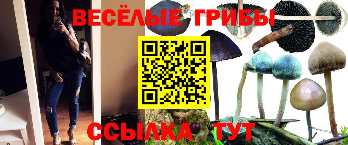 Галлюциногенные грибы ЛСД Кудрово