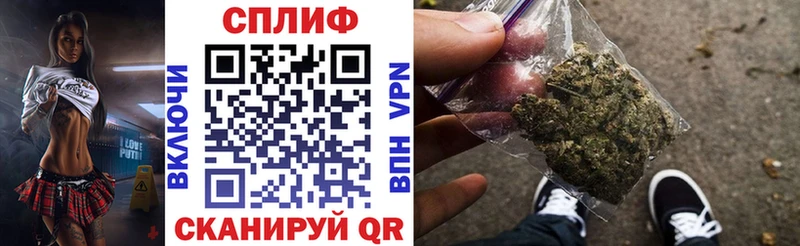 где можно купить наркотик  Кудрово  МАРИХУАНА ГИДРОПОН 